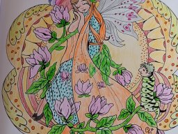 whatsapp bild 2024-02-16 um 12.17.22_8386fc51